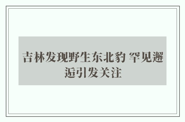 吉林发现野生东北豹 罕见邂逅引发关注