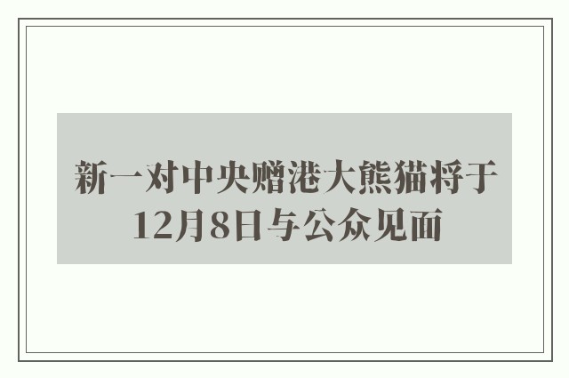 新一对中央赠港大熊猫将于12月8日与公众见面